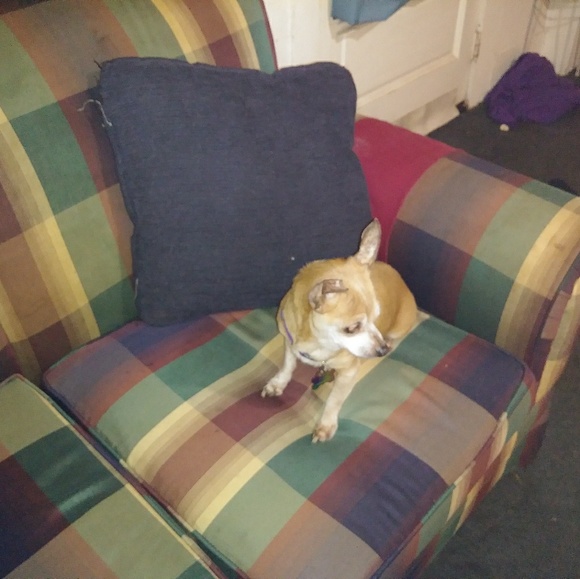 Meet your Posher, Sharon - Picture 3 of 8